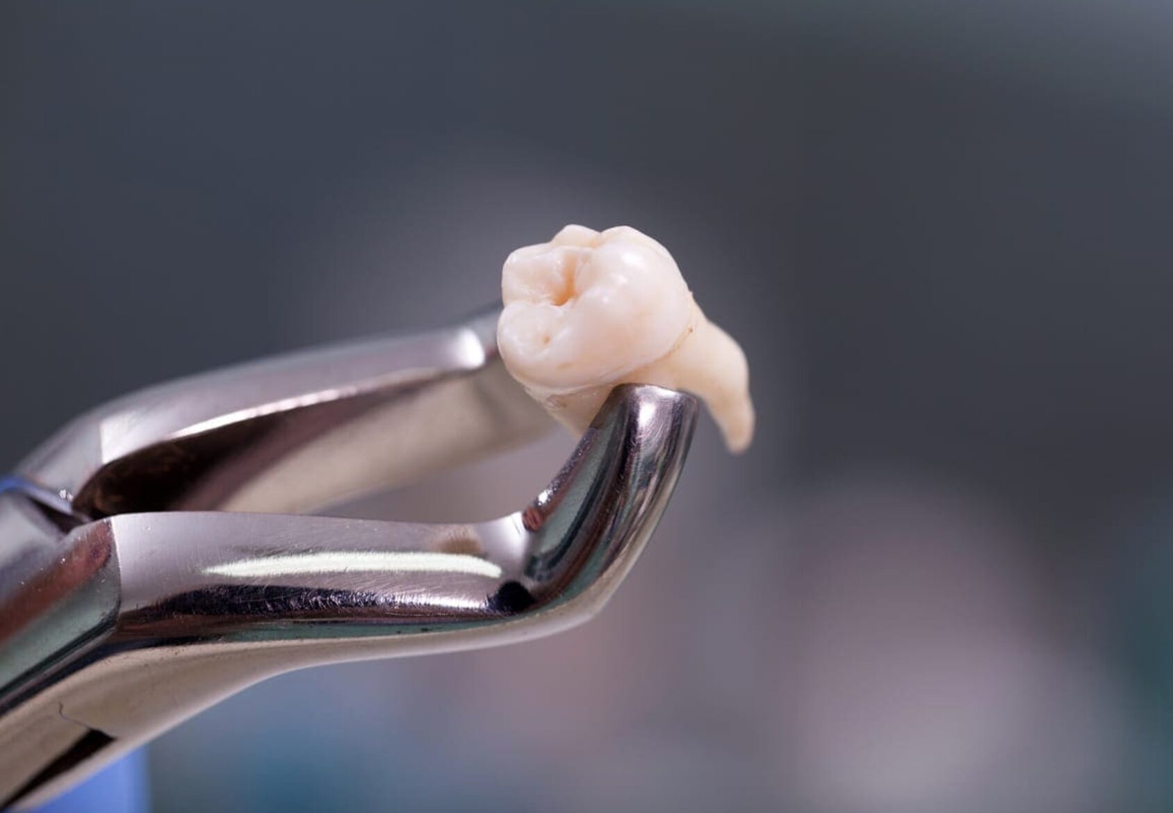 Screen Shot 2025-06-03 at 8.05.13 AM